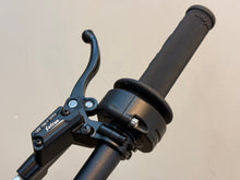 Load image into Gallery viewer, SURRON LIGHT BEE X