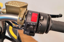 Load image into Gallery viewer, SURRON STORM BEE (ELECTRIC)