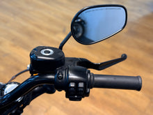 Load image into Gallery viewer, Harley Davidson Sportster Forty Eight (XL1200X)

