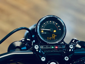 Harley Davidson Roadster 1200 XL